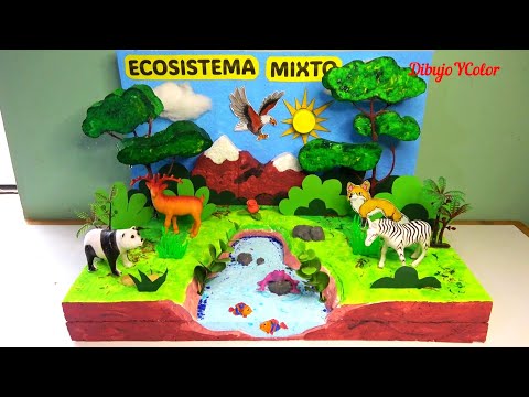 Como hacer MAQUETA