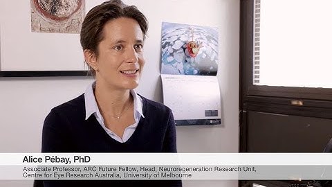 Introducing StemFlex Medium for stem cell research - Designed for better everything