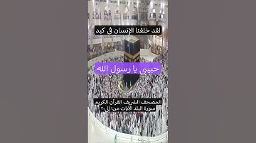 المصحف الشريف القرآن الكريم سورة البلد الآيات من١ إلى٢٠ #المصحف_الشريف #القرآن_الكريم #سورة_البلد