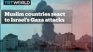 How are Muslim countries reacting to Israeli attacks on Gaza?