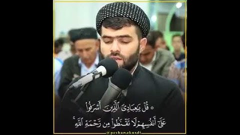 تلاوه/ أولم يعلموا ان الله يبسط الرزق/القارئ بيشه قادر الكردي