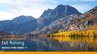 Fall Fishing Tips by Professional Guide Doug Rodricks
