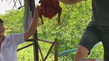 Tham quan Vườn Cam thành phố Cao Lãnh - Xã Tân Thuận Đông