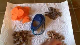 Train Your Dog To Take Food Nicely screenshot 4