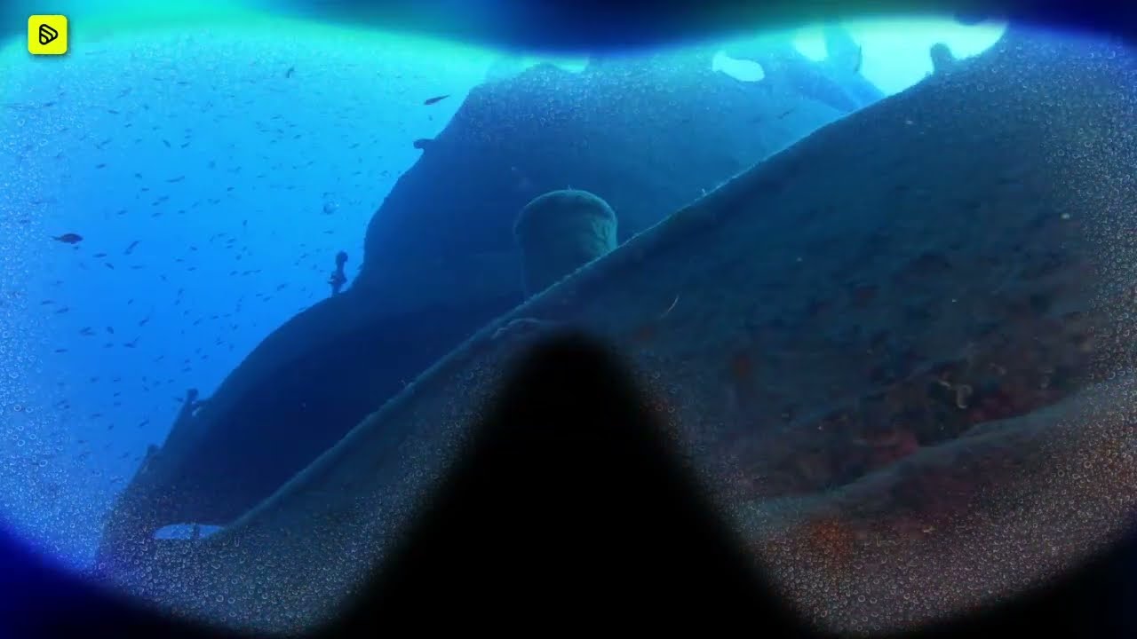 Enigmatic deep sea: extreme challenges birth unique life, offering diverse perspectives on existence