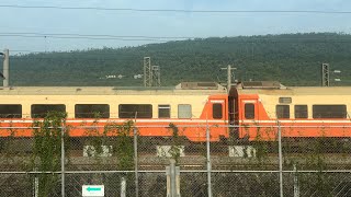 11/24/2024 高鐵 803次 700T列車 行經左營機務分段 並與 台鐵 510次自動門莒光號 本務E229電力機車 交會 / THSR 700T pass through TRA depot