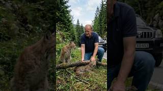 Heartbreaking: Crying Baby Lynx Trapped Under Tree by the Road #rescue