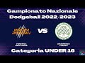 Dodgeball venetica new lions 131 shamrock faenza campionato under16