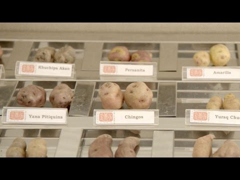 Video: How Will A Person Actually Grow Potatoes On Mars - Alternative View