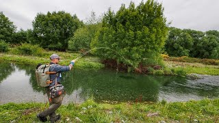 Fly Fishing Tiny Clear Water Creek for Rainbow and Brown Trout