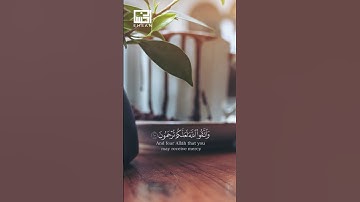 الآية 10 من سورة الحجرات الشيخ هزاع البلوشي