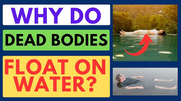 Why Do Dead Bodies Float On Water - BZU Science