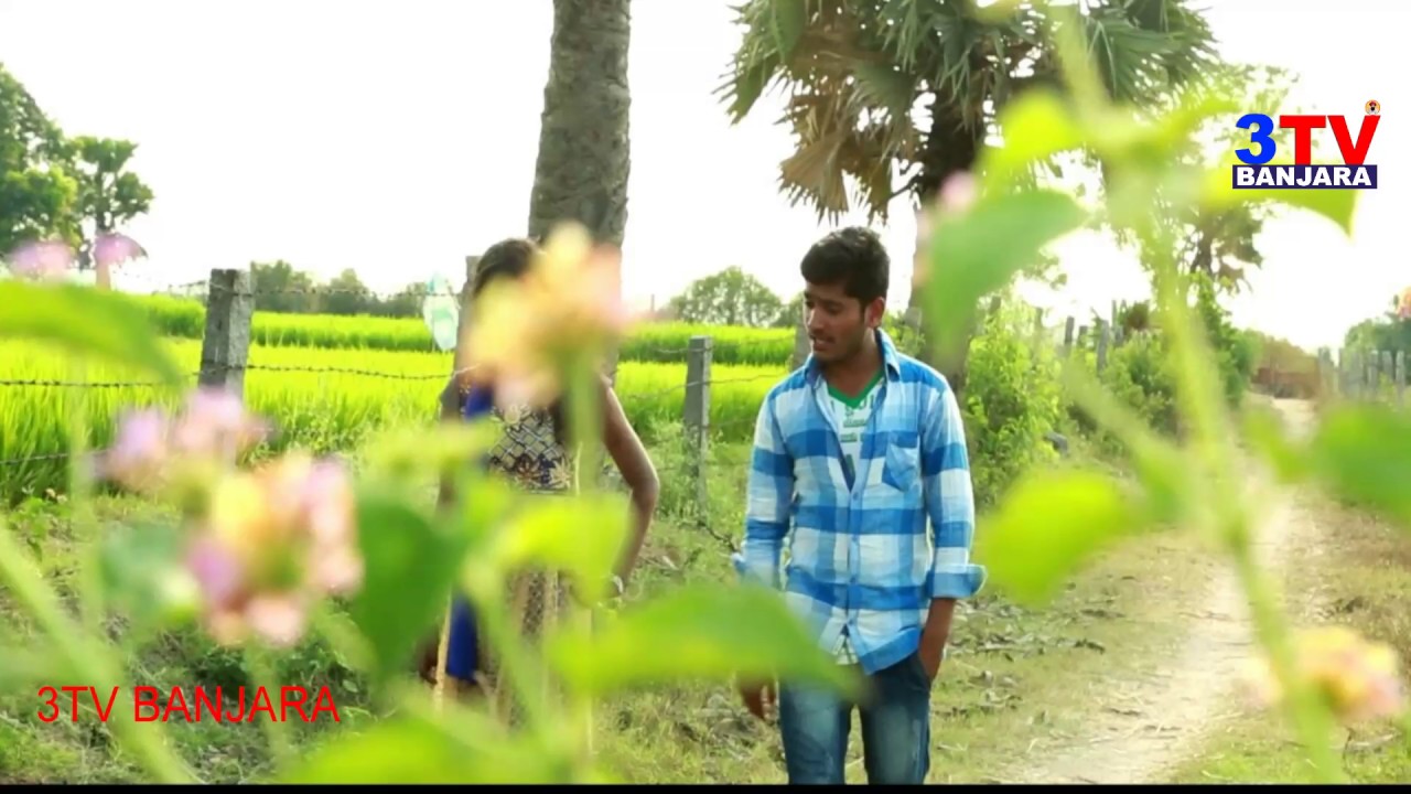 Chinuku Chinuku Pani Video song  Lambadi Audio Song  3TV BANJARAA