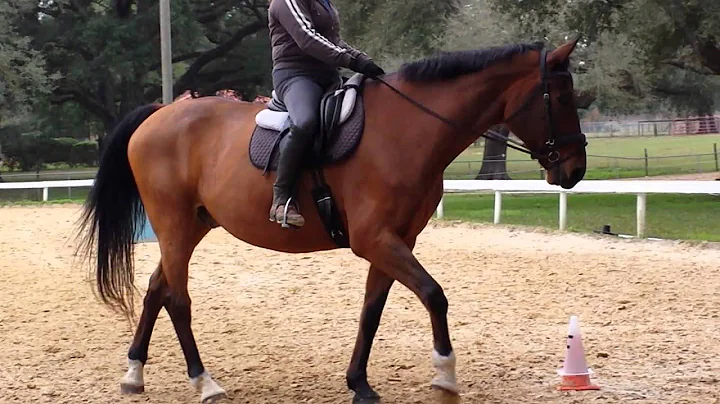 Part 2 of Training Advice from Deborah Glover