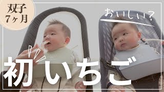 【初めてのいちご（離乳食中期）】双子赤ちゃん生後7ヶ月