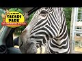 Alabama Safari Park (Full Drive Through & Feeding The Animals) with The Legend
