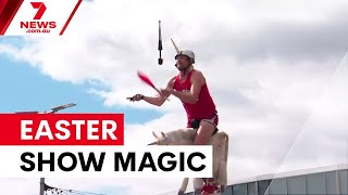 Record crowds flock to Sydney Royal Easter Show | 7NEWS