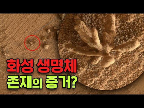 일론 머스크도 놀랄 충격적인 <strong>화성</strong> <strong>생명체</strong> 증거의 발견?