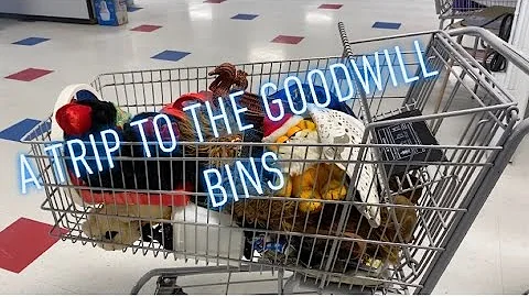 A Trip to the Goodwill Bins | THRIFT WITH ME