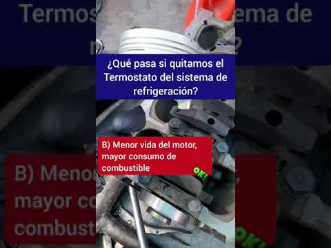 Cuánto sabes de