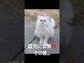 【庭先に恐怖‼️その後…】