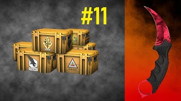 Opening 1 Case Everyday Until I Get a Knife #11