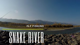 Two Days near Teton Village on the Snake River - Fly Fishing Wyoming - Sept 2021