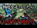 【モトブログ】#140 林道を走ってたら乳首が爆発した