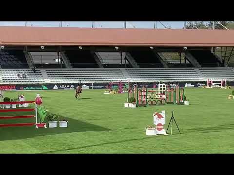 Konak clear and 9th in GP CSI**** Valkenswaard