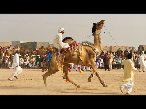 Video: Jinsi vito vya kwanza vya Dior vilibadilisha njia ya vito vya mapambo: Victoire de Castellane