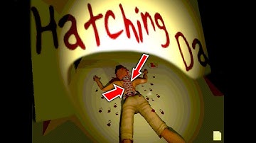WARNING: IF YOU HAVE A FEAR OF HOLES. DON