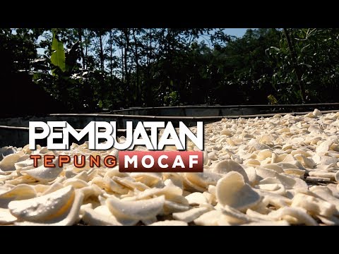 cara-membuat-tepung-mocaf-|-modified-cassafa-flour-|-berbagai-aneka-makanan-olahan-dari-mocaf