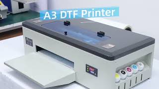 how To Operate The Apm Print A3 Dtf Printer