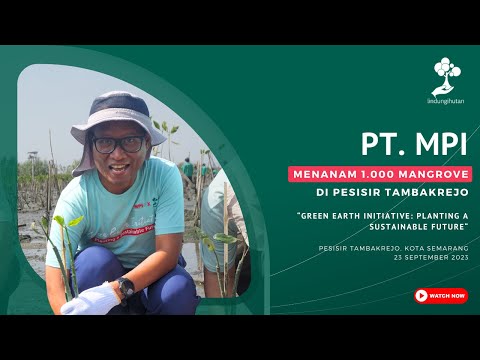 PT MPI Tanam 1.000 Mangrove di Pesisir Tambakrejo, Semarang