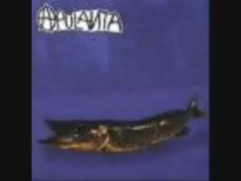 Apulanta - Armo Apulanta - Armo