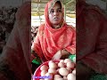 একজন সফল নারী উদ্যোক্তা জাহিদা আপা #trending #video #farming