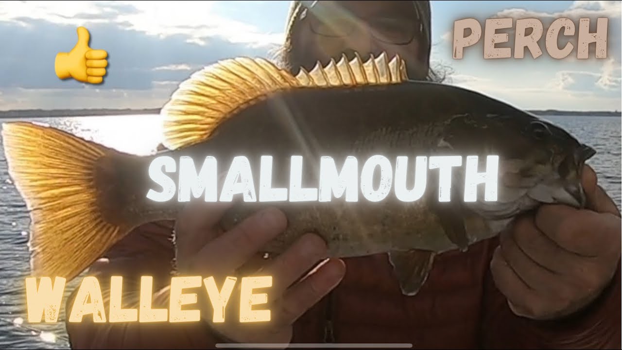 Blade Bait Beatdown Which one was I using? WALLEYE SMALLMOUTH