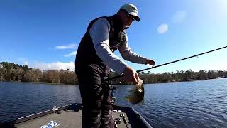 Finding Slab Prespawn Crappie after Cold Fronts, Big Crappie Fishing Lake Talquin