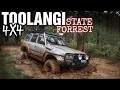 Toolangi State Forrest 4wd AKA Muddiest Place On Earth! #tracksessions