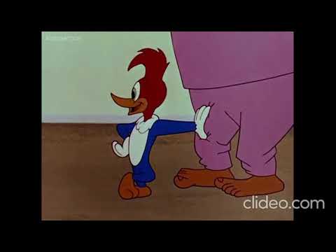 Woody Woodpecker: Helter Shelter: Full Episode: Kids Cartoons