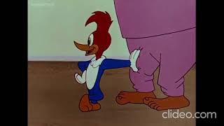 Woody Woodpecker: Helter Shelter: Full Episode: Kids Cartoons