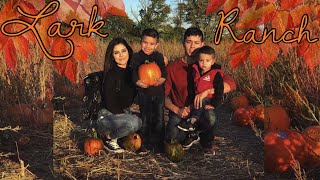 VLOGTOBER 2019 | LARK RANCH | PUMPKIN PATCH TIME