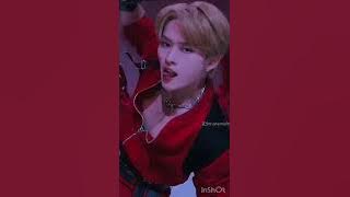 Stray Kids Lee Know (Minho) tiktok edits / compilation because making me manic