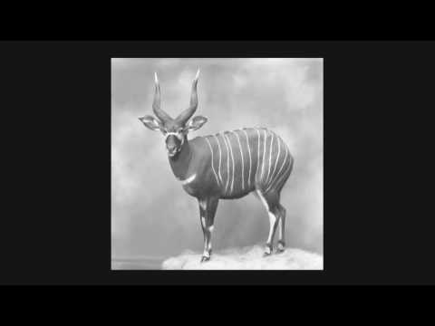 Gary Howell — G.H. | Housebound Demigod [Modern Love 2016]