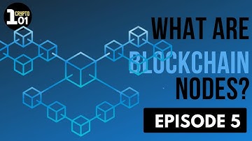 What are Blockchain Nodes? | Crypto 101 | Episode 5