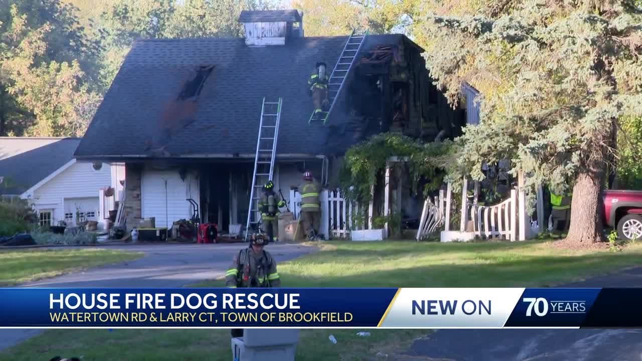 Dogs rescued from house fire - YouTube