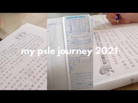 my PSLE journey 2021 : study and grind