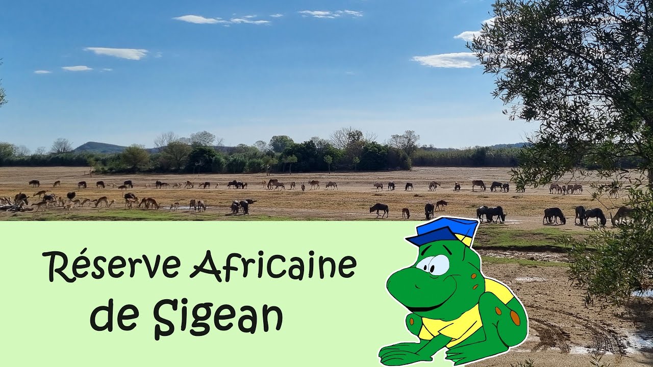 Réserve Africaine de Sigean