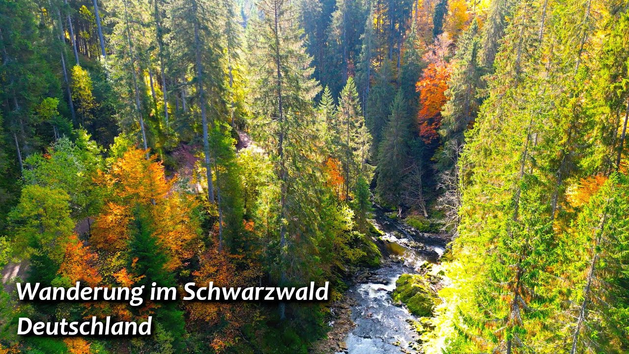 Wanderung Im Schwarzwald Schluchtensteig YouTube wanderung-im-schwarzwald-schluchtensteig-youtube