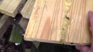 How to fix exterior rounded cornice on Victorian four square